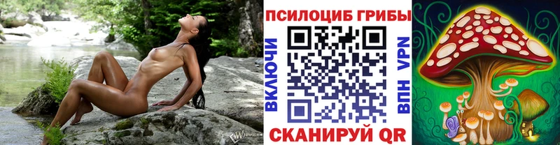 Псилоцибиновые грибы MAGIC MUSHROOMS  Новопавловск 