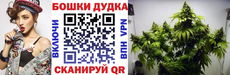 купить закладку  Новопавловск  Бошки марихуана индика 